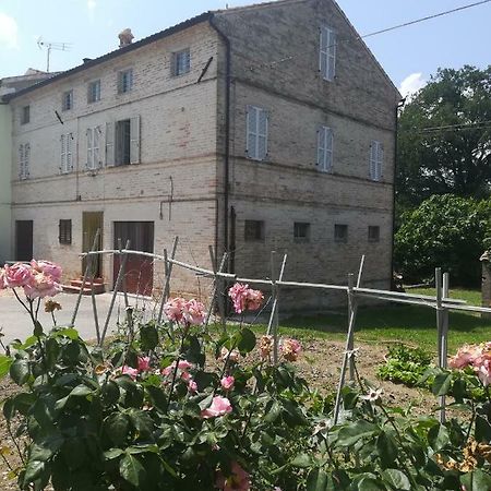 Casa Vacanze Da Peppa Grottazzolina Экстерьер фото