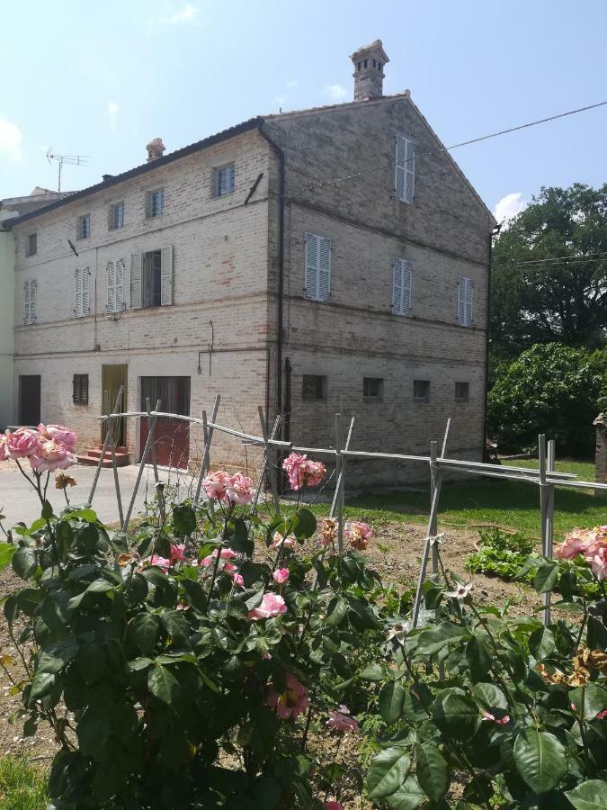 Casa Vacanze Da Peppa Grottazzolina Экстерьер фото